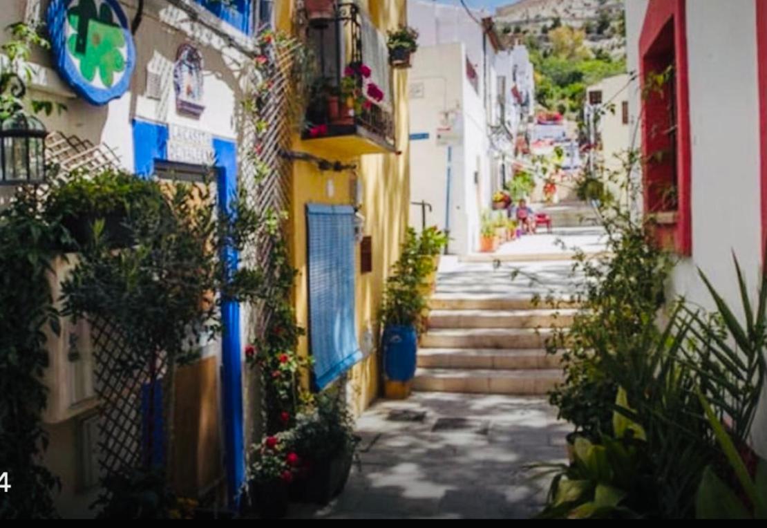 Casita Del Flamingo En Casco Historico Villa Alicante Exterior photo
